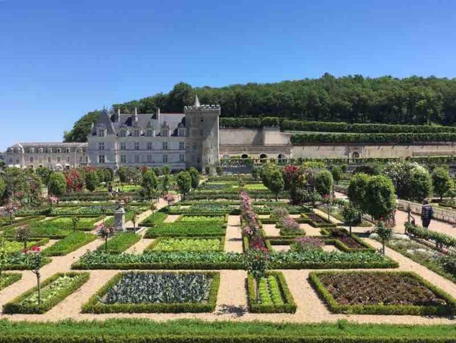 Gite Chalet-Piscine "Belle-Etoile" Touraine Anjou Courcelles-de-Touraine Εξωτερικό φωτογραφία