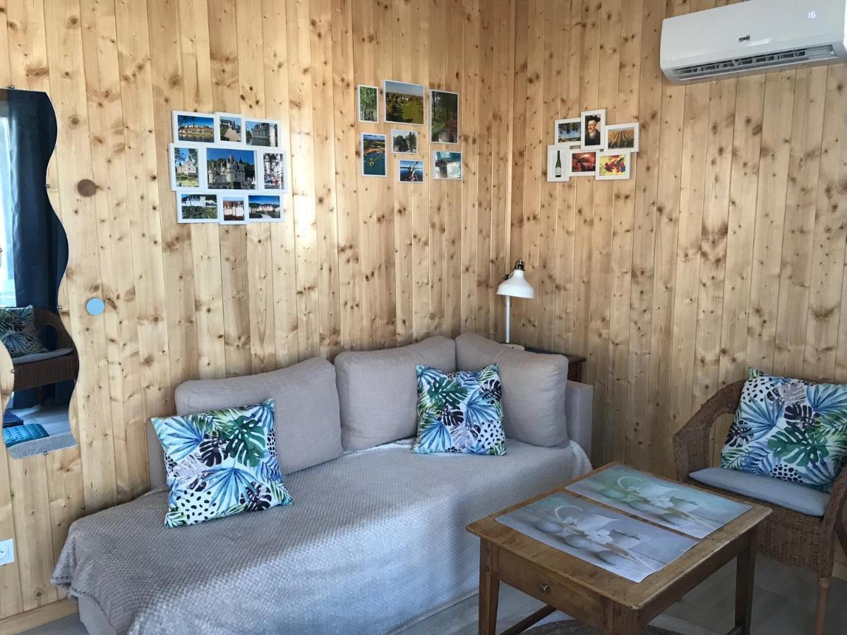 Gite Chalet-Piscine "Belle-Etoile" Touraine Anjou Courcelles-de-Touraine Εξωτερικό φωτογραφία